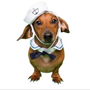 NWOT Pet Krewe Doggie Sailor Collar and Hat Sz S